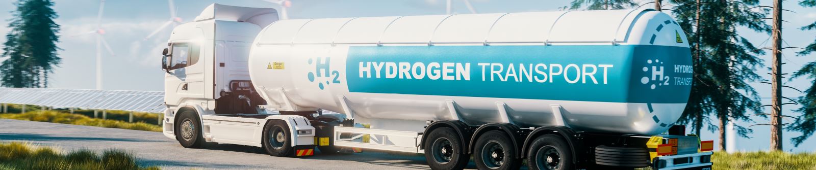 Hydrogen Transport